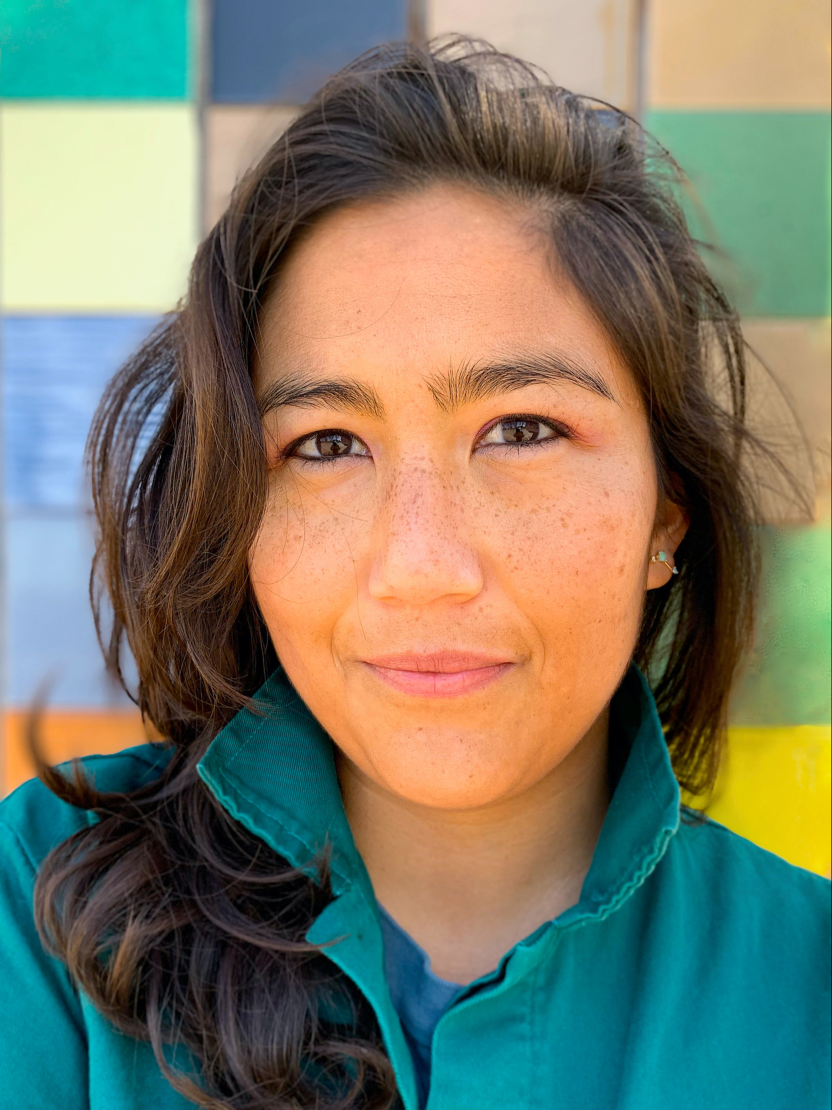 Beth de Araújo Panelist Name